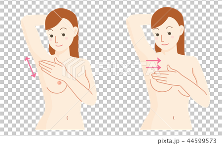 乳がん 自己検診セット 44599573