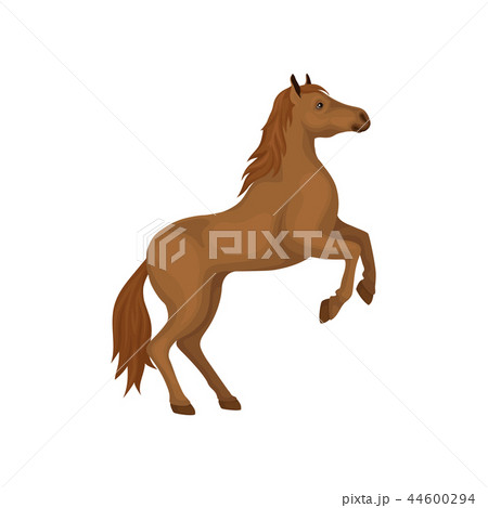 Brown horse rearing up. Animal with hooves, beautiful flowing mane and long tail. Flat vector design 44600294