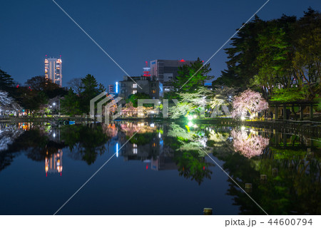 千葉公園 夜桜ライトアップ 千葉県千葉市中央区 18年3月の写真素材