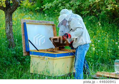 Two beekeepers work on an apiary. Summer Two beekeepers work on an apiary. Summer 44600941