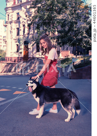Smiling good-looking woman petting her cute dark husky dog 44601365