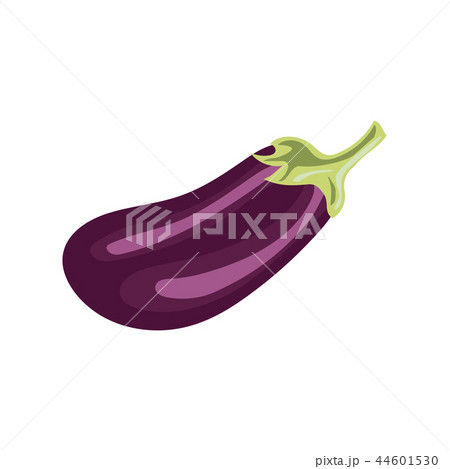Eggplant isolated on white Clipping Path vector illustration Eggplant isolated on white Clipping Path vector illustration 44601530