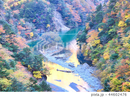 寸又峡渓谷-14583 寸又峡渓谷-14583 44602476