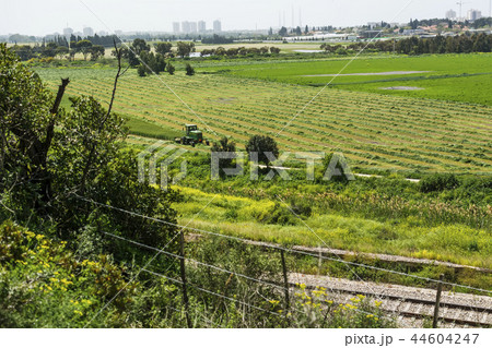 Agriculture scenic view of green field and tractor 44604247