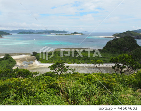 神の浜展望台からの座間味のビーチ 神の浜展望台からの座間味のビーチ 44604603
