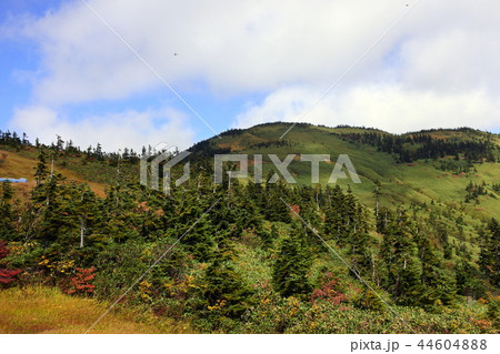 会津駒ヶ岳 44604888