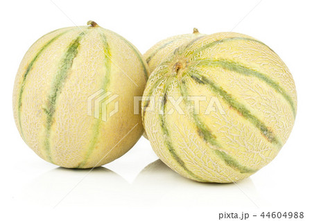 fresh melon cantaloupe variety fresh melon cantaloupe variety 44604988