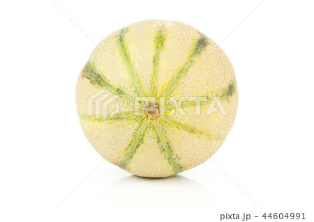 fresh melon cantaloupe variety 44604991