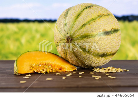 fresh melon cantaloupe variety 44605054