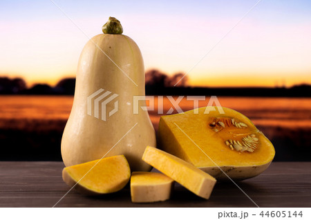 Smooth pear shaped orange butternut squash waltham 44605144