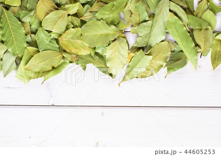 Dry olive green bay laurel leaves on grey wood 44605253