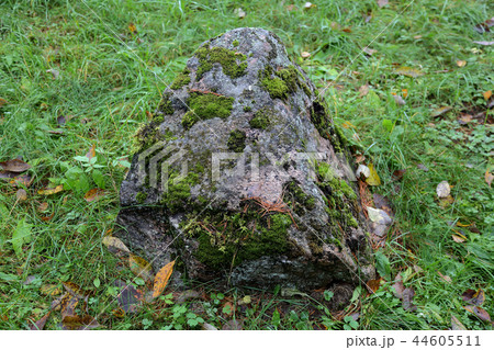 Natural stone texture 44605511