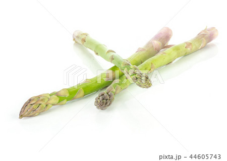 Fresh green asparagus spear isolated on white Fresh green asparagus spear isolated on white 44605743