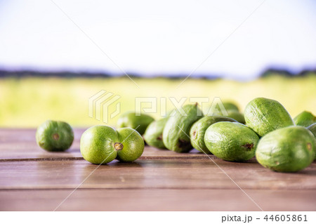 Fresh green mini baby kiwi fruit with field behind Fresh green mini baby kiwi fruit with field behind 44605861