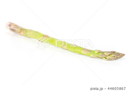 Fresh green asparagus spear isolated on white Fresh green asparagus spear isolated on white 44605867