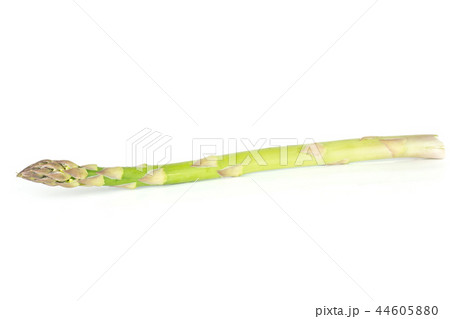 Fresh green asparagus spear isolated on white Fresh green asparagus spear isolated on white 44605880