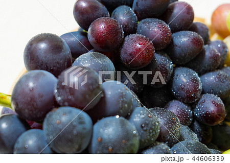 ぶどう（盛合せ）しずる 44606339