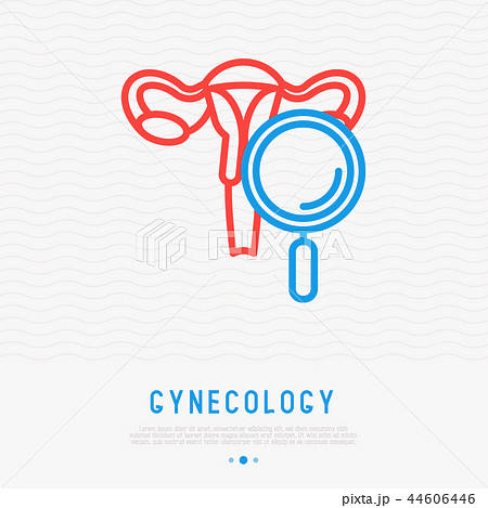 Uterus with magnifier thin line icon 44606446