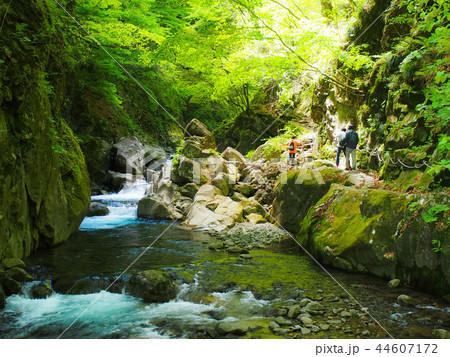 西沢渓谷 西沢渓谷 44607172