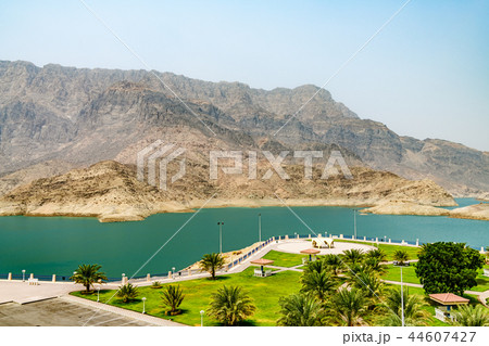 Wadi Dayqah Dam(オマーン, Qurayyat) Wadi Dayqah Dam(オマーン, Qurayyat) 44607427