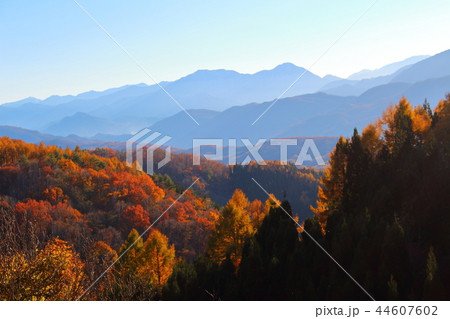 麗しき北アルプス　その20181017　：　美しき信州の紅葉　その20181017 44607602