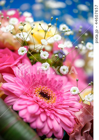 フラワーバスケット 44607657