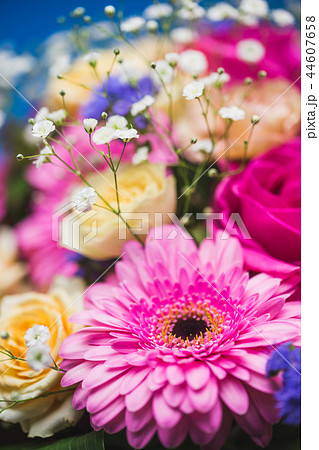 フラワーバスケット フラワーバスケット 44607658