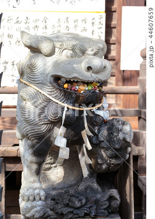 狛犬 狛犬 44607659