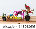 spa, oil, handmade soap, shampoo 44608056