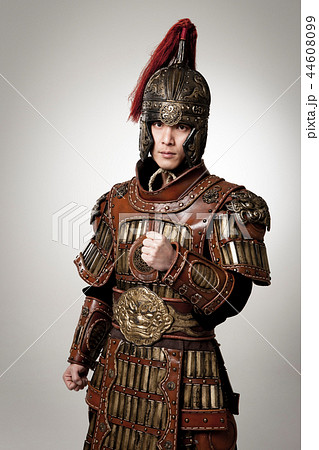 将軍 武装 兵士 44608099