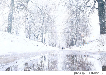 winter landscape / snow-covered trees covered with snow, concept of winter weather, cold climate, north. Christmas landscape in the city park. Without people. winter landscape / snow-covered trees covered with snow, concept of winter weather, cold climate, north. Christmas landscape in the city park. Without people. 44608457