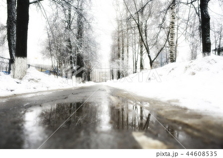 winter landscape / snow-covered trees covered with snow, concept of winter weather, cold climate, north. Christmas landscape in the city park. Without people. winter landscape / snow-covered trees covered with snow, concept of winter weather, cold climate, north. Christmas landscape in the city park. Without people. 44608535