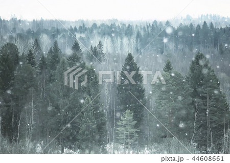 snow fog landscape snowfall / winter landscape cold seasonal weather, nature in winter form, foggy outside 44608661