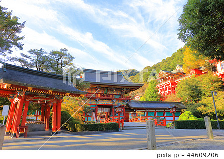 朝日を浴びる秋の祐徳稲荷神社（佐賀県鹿島市） 44609206