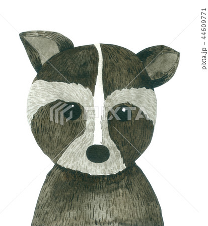 Raccoon cartoon watercolor on white background 44609771