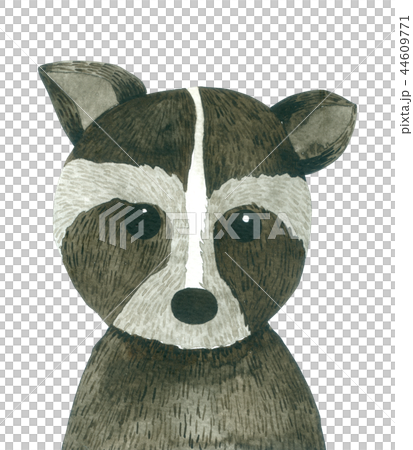 Raccoon cartoon watercolor on white background Raccoon cartoon watercolor on white background 44609771