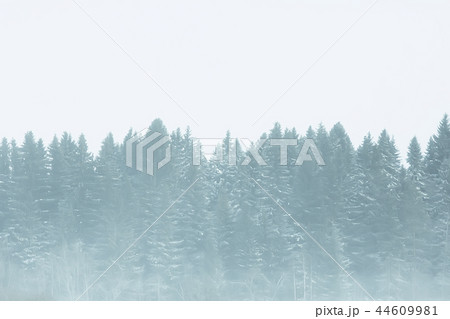 snow fog landscape snowfall / winter landscape cold seasonal weather, nature in winter form, foggy outside 44609981