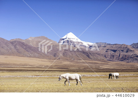 Sacred Mountain Kailas 44610029