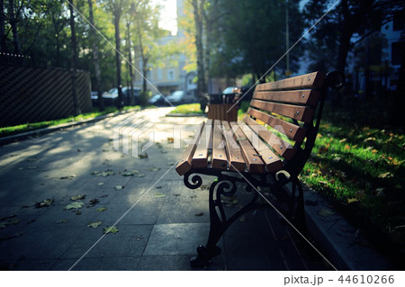 amazing autumn landscape in the city park 44610266