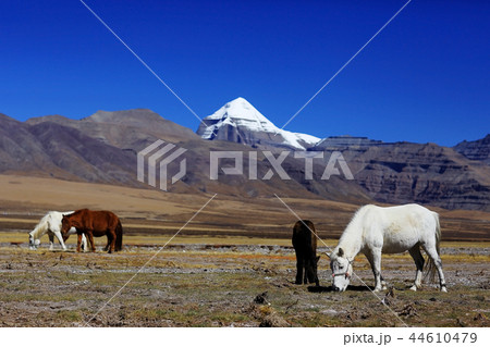 Sacred Mountain Kailas 44610479