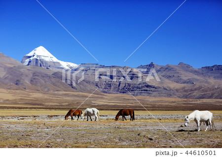 Sacred Mountain Kailas 44610501