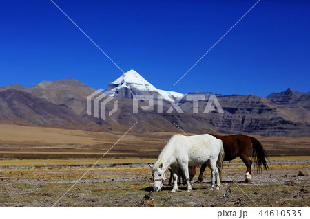 Sacred Mountain Kailas 44610535