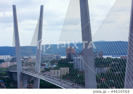 Vladivostok view of the city bridge Vladivostok view of the city bridge 44610568