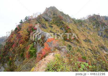 戸隠　蟻の塔渡り　紅葉 44612296