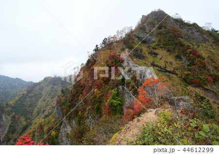 戸隠　蟻の塔渡り　紅葉 44612299
