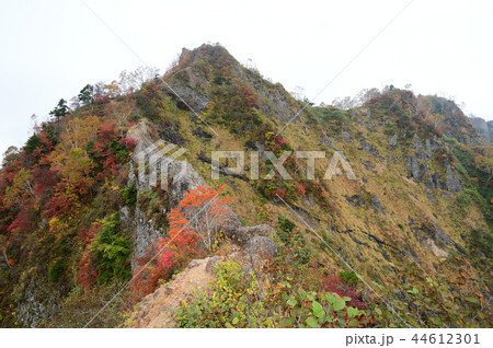 戸隠 蟻の塔渡り 紅葉 戸隠 蟻の塔渡り 紅葉 44612301