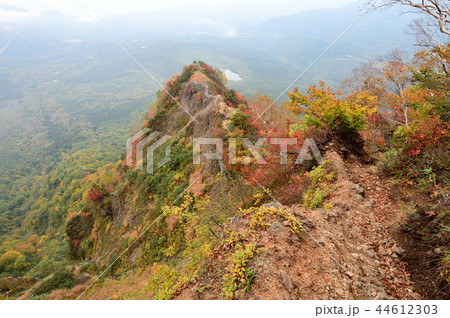 戸隠　蟻の塔渡り　紅葉 44612303