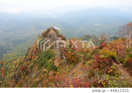 戸隠 蟻の塔渡り 紅葉 戸隠 蟻の塔渡り 紅葉 44612310