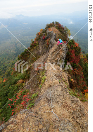戸隠　蟻の塔渡り　紅葉 44612531