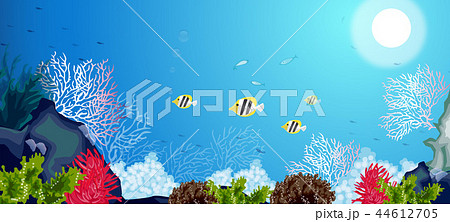 魚類 サンゴ礁 海 44612705